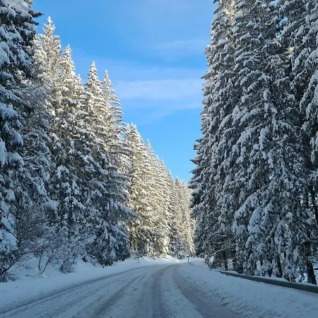 Chalet-beskydy *